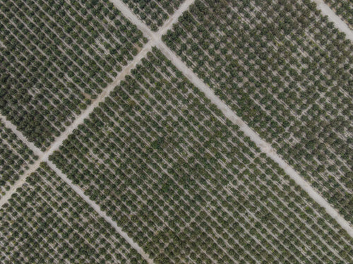 ABOUT-US_EN-SAVOIR-PLUS-SUR-MUSTELA_PHOTO-LIEN-NOS-ENGAGEMENTS - Mustela Multi-market - 1