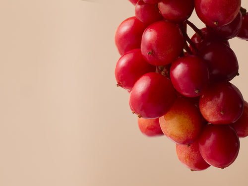 SHIZANDRA_HD - Mustela Multi-market - 1