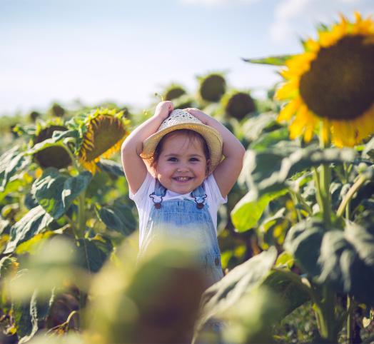 Produsele noastre certificate organic: esențiale pentru întreaga familie!