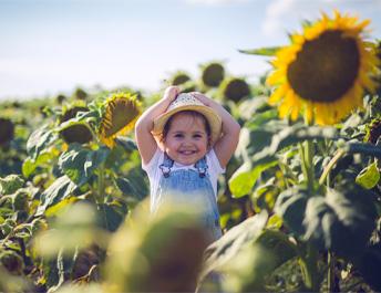 Produsele noastre certificate organic: esențiale pentru întreaga familie!